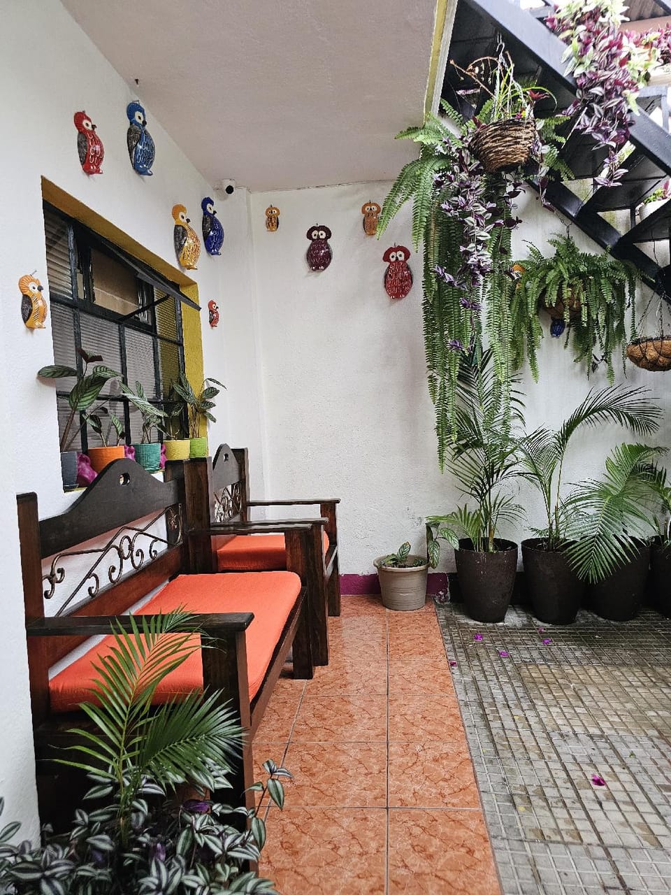 One Day Trip Hostel in Antigua Guatemala