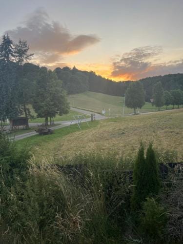 Waldblick Gastezimmer Hotel in Baden-Württemberg