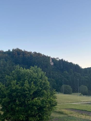 Waldblick Gastezimmer Hotel in Baden-Württemberg