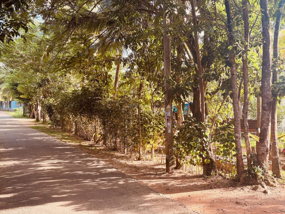 Jungle Breeze Lodge in Southern Province