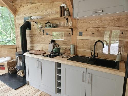 The Toads Hideout - A Cabin in an Ancient Welsh Woodland Lodge in Wales