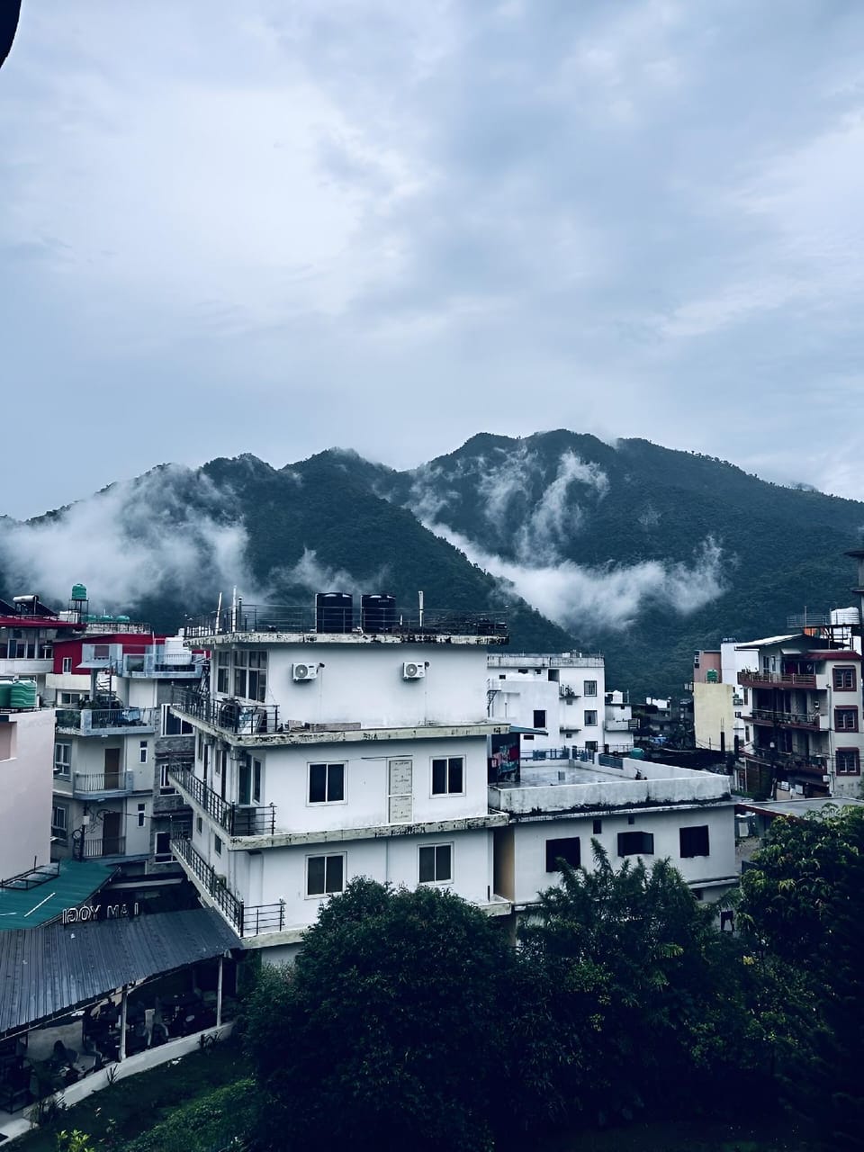 View