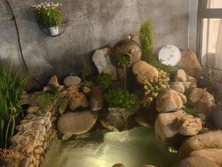 Chihiro Homestay (Lishui Branch) Hotel in Zhejiang