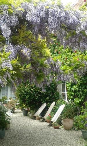 la glycine Hotel in Normandy