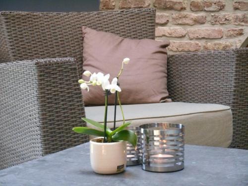 B&B A l'Ombre du Tilleul Hotel in Wallonia, Belgium