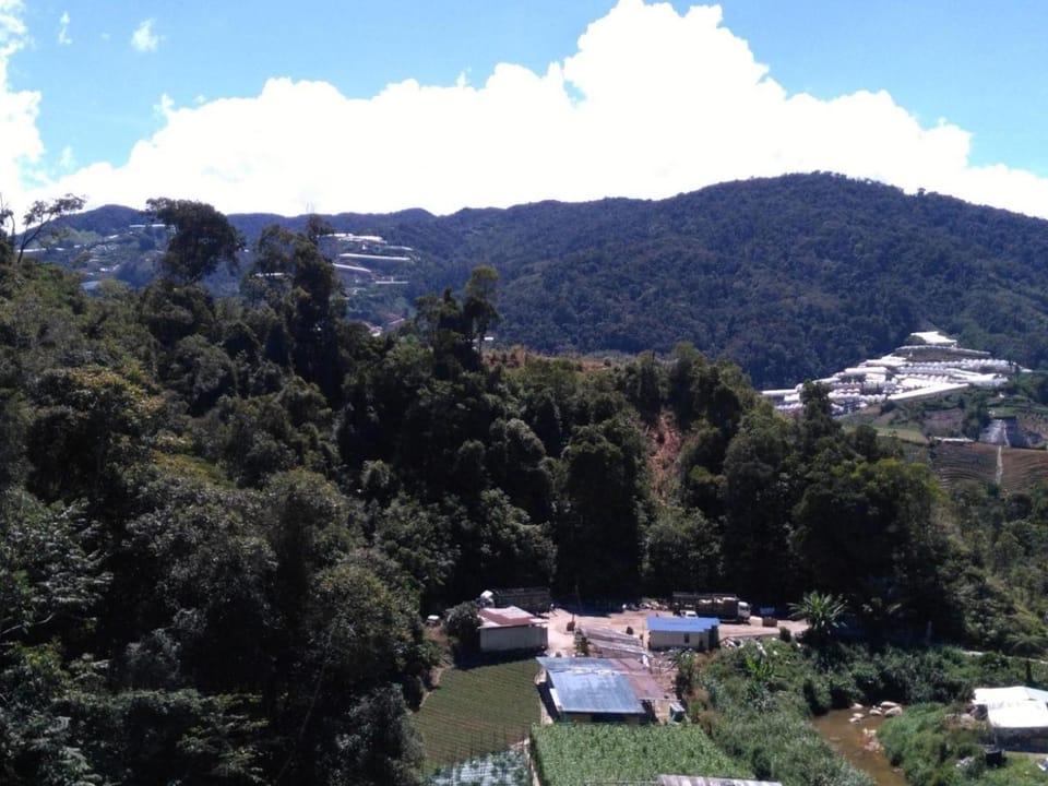 The Pines Hotel Hotel in Cameron Highlands