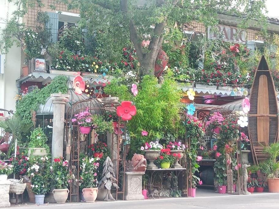 Gite LE PETIT LUBERON COQUELICOT Vacation rental in Gordes