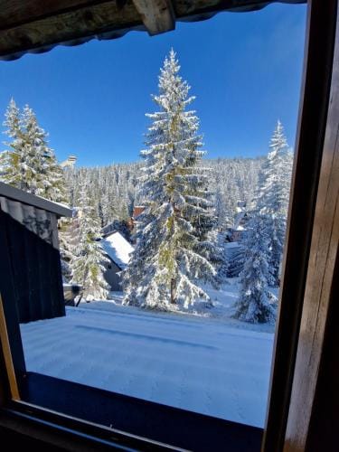 Winter Forest Vlasic Hostel in Federation of Bosnia and Herzegovina
