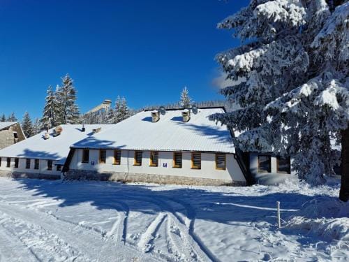Winter Forest Vlasic Hostel in Federation of Bosnia and Herzegovina