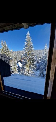 Winter Forest Vlasic Hotel in Federation of Bosnia and Herzegovina