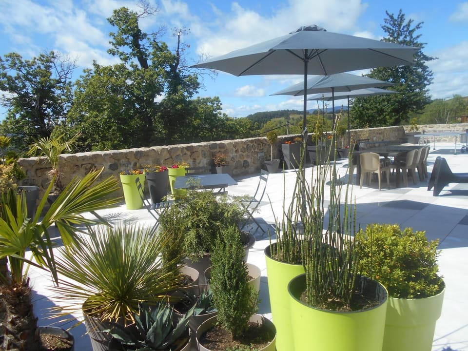 Maison d'Hotes Les Palmiers Hotel in Provence-Alpes-Côte d'Azur
