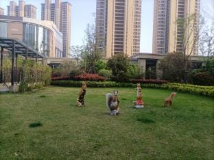 Mi Jia Homestay (Xuzhou Branch) Hotel in Jiangsu