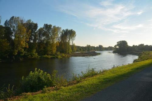 Le Chat Courant Hotel in Centre-Val de Loire