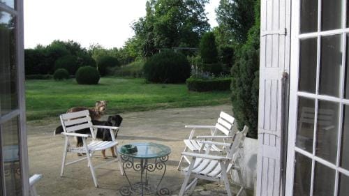 Le Petit Bois Hotel in Centre-Val de Loire