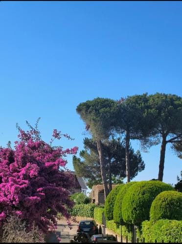 Villa Angelina Hotel in Gaeta
