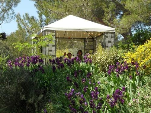 L'OLIVERAIE EN PROVENCE Hotel in Lambesc