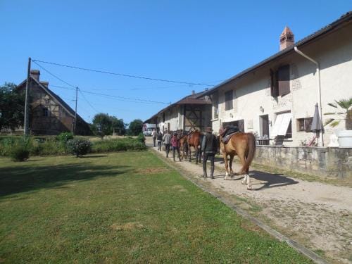 Chambre d'Hotes Familiale la Jument Grise Hotel in Bourgogne-Franche-Comté