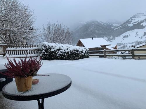 One Bedroom with mountain and garden view ground floor of Chalet Solaria Hotel in Saanen