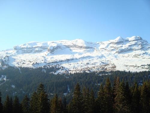 Flaine prime ski in, ski out Apartment Hotel in Arâches-la-Frasse