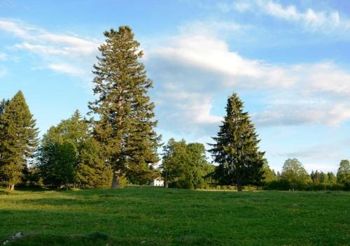 Clemens Ruben Hotel in Neuchâtel, Switzerland