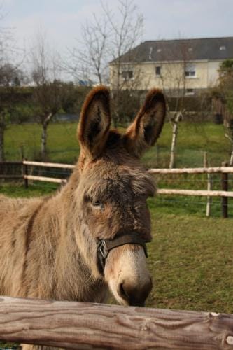 Le Verger B&B Hotel in Normandy