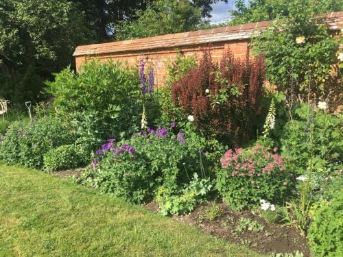 Garden Cottage B&b Hotel in Andover