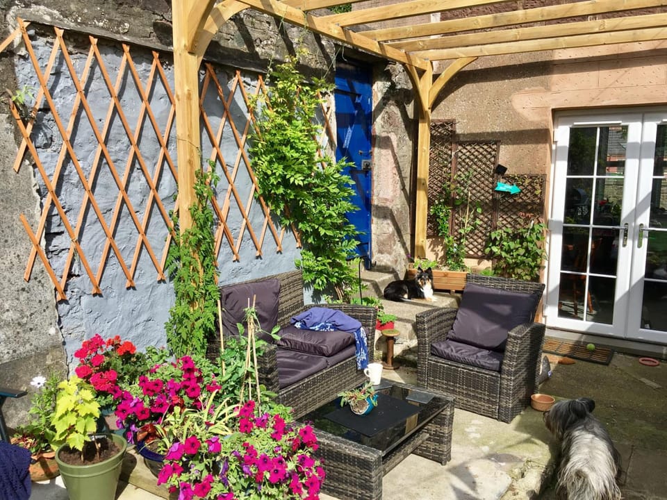 Alpine cottage Hotel in Scotland