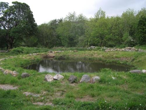 cosy ground floor disabled friendly room in farm house Hotel in Wales