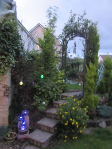 Homely Haven, Dunfermline Hotel in Dunfermline