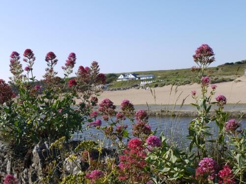 Tee-Side Guest House Hotel in Bude