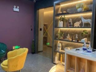 Suzi Hotel Hotel in Shanghai