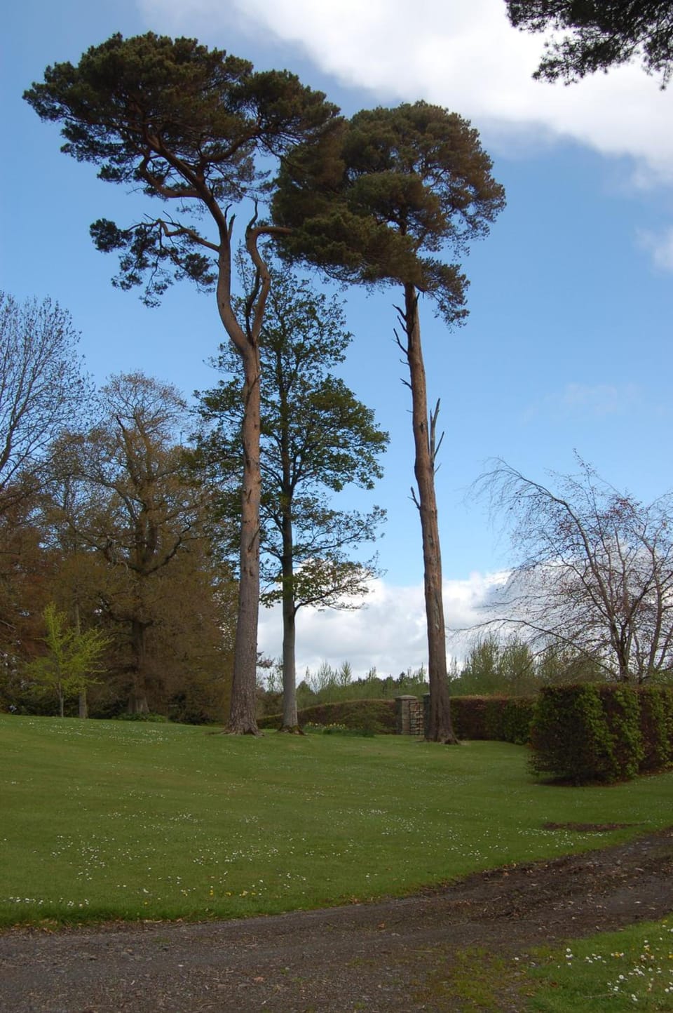 Ballydugan Country House Hotel in Northern Ireland