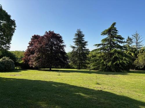 Calme & Accueillant - Beauval Hotel in Centre-Val de Loire