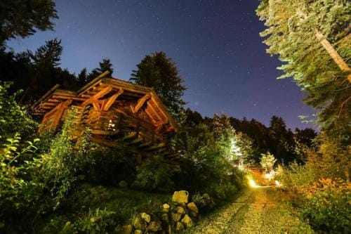 Amour de Chalet Cabane Lodge in La Bresse