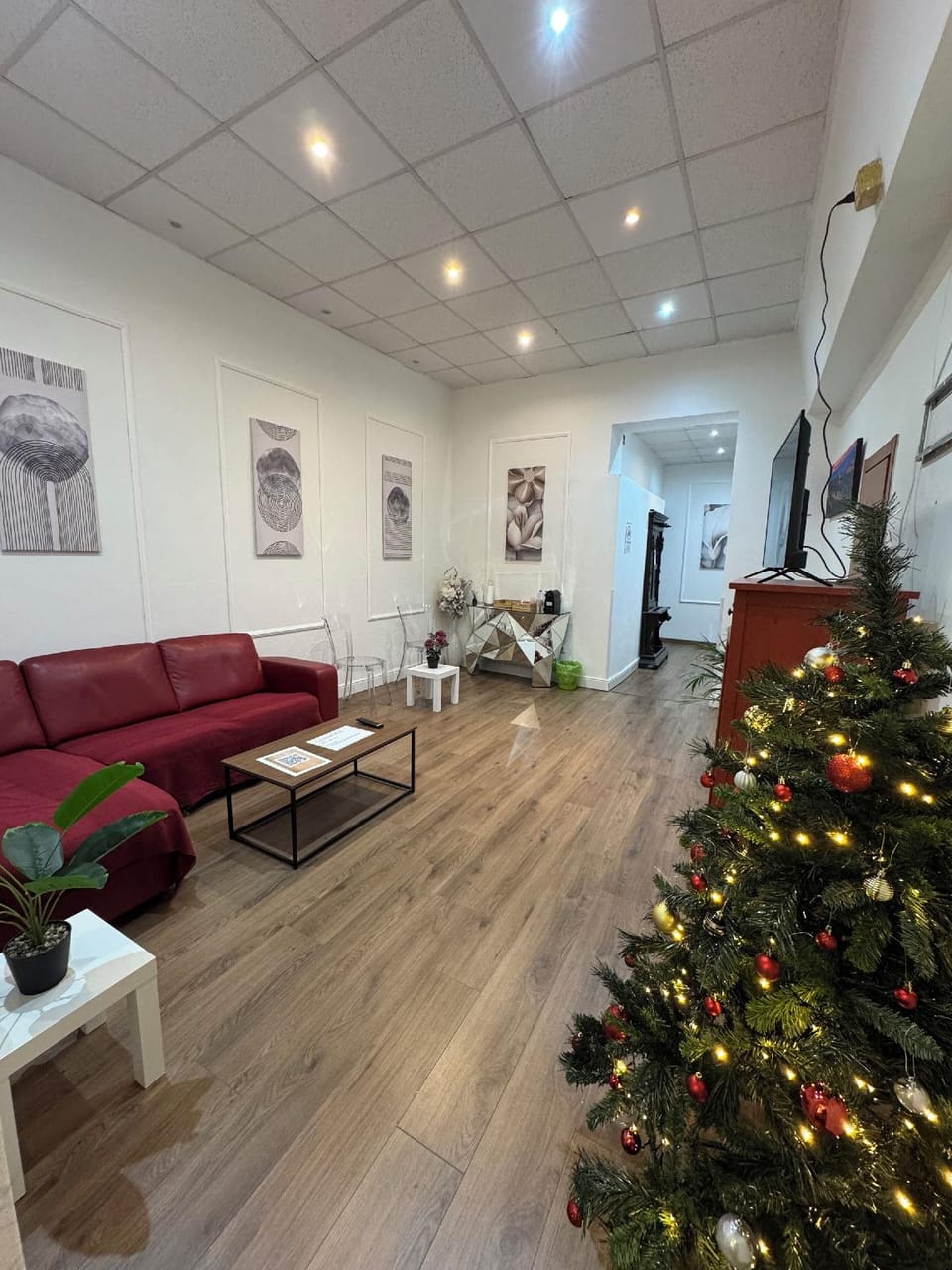Cattaleya rooms  Bed and Breakfast in Florence