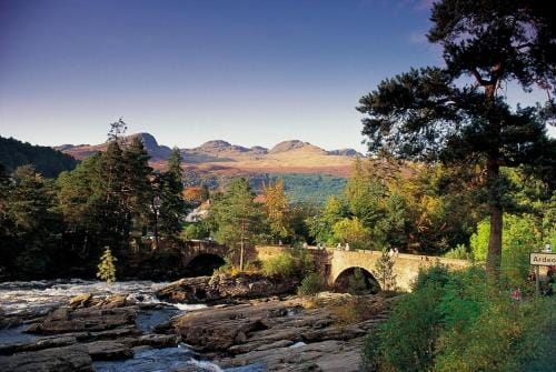 Luxury woodland Alder Lodge Lodge in Scotland