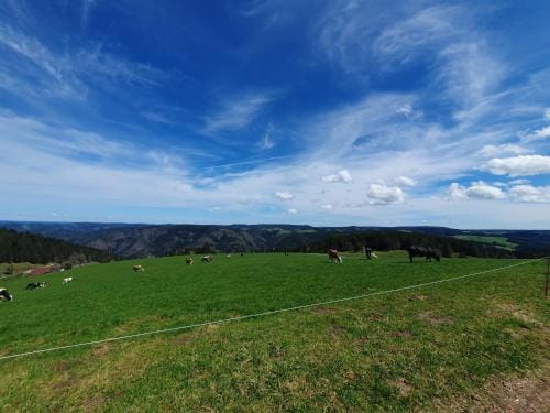 Haus Schanzenblick Gastezimmer5 mit Bad und Balkon mit Aussicht Hotel in Baden-Württemberg