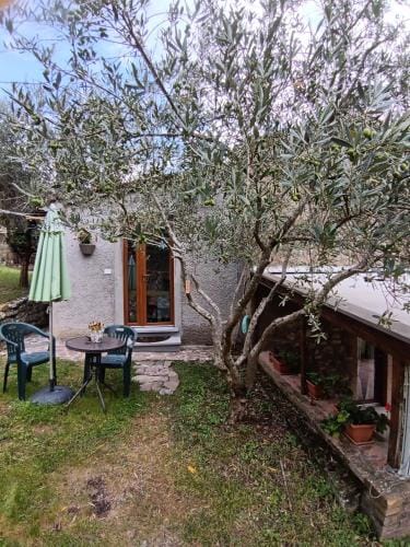 Casale Agrifoglio - Monterchi Hotel in Umbria