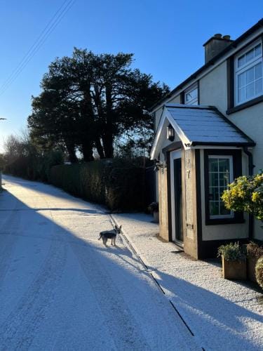 Old Mill House Hotel in Northern Ireland