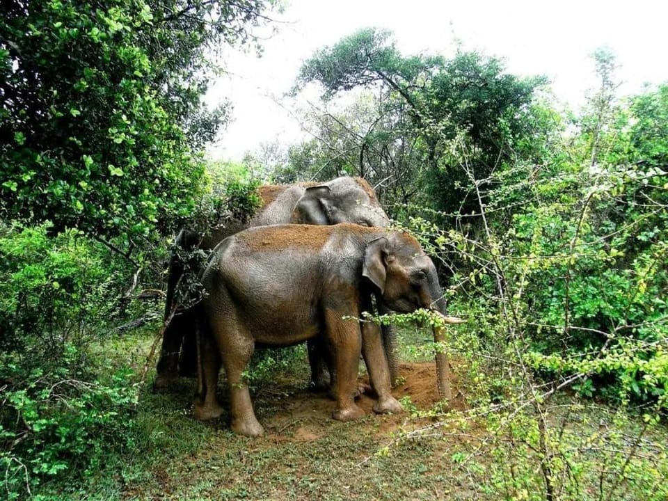 VR Nature Cottage Hotel in Uva Province, Sri Lanka