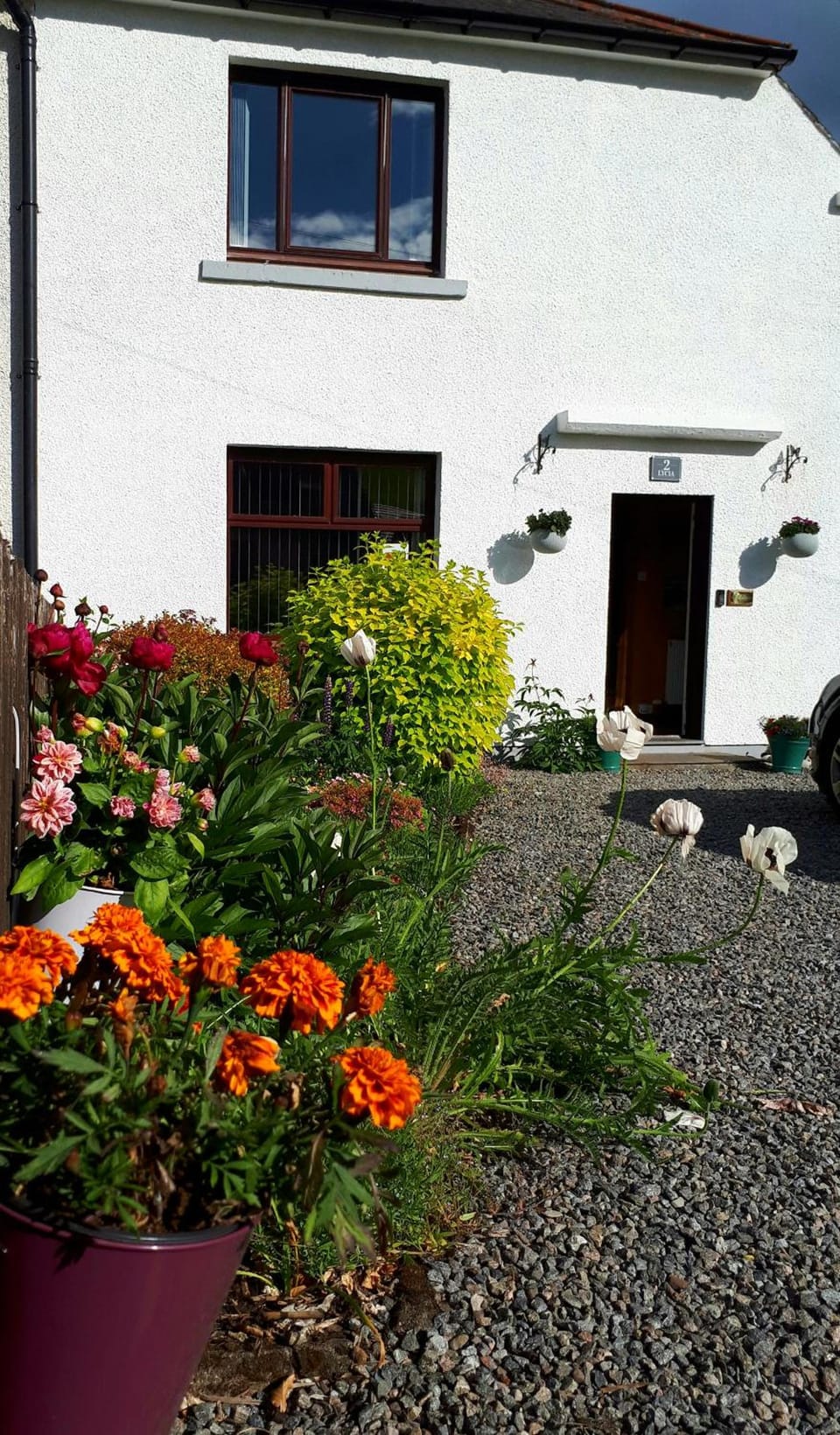 Lycia Rooms + Hotel in Inverness