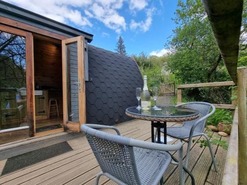 Nyth Y Goedwig Lodge in Wales