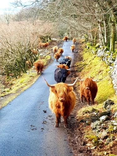 Kirk Cottage Hotel in Scotland