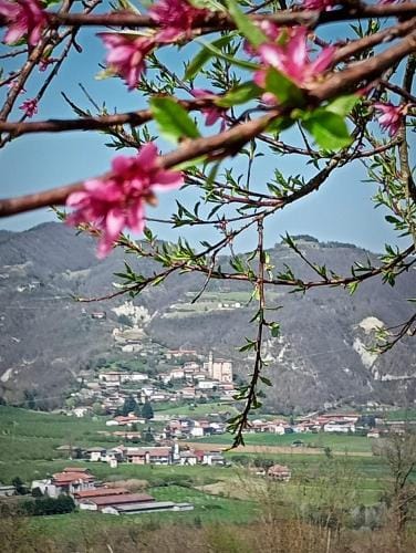 Villa Chiaromonte Hotel in Liguria