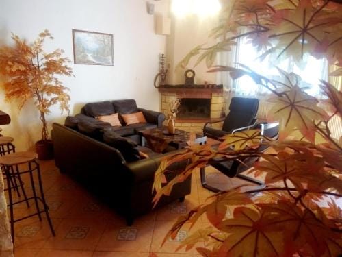Guesthouse Platon Hotel in Decentralized Administration of Macedonia and Thrace