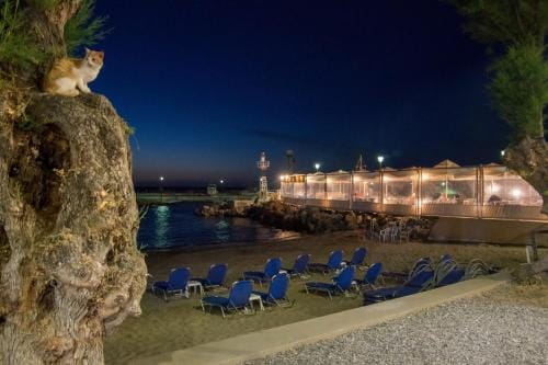Fougaro Apartments Hotel in Chania