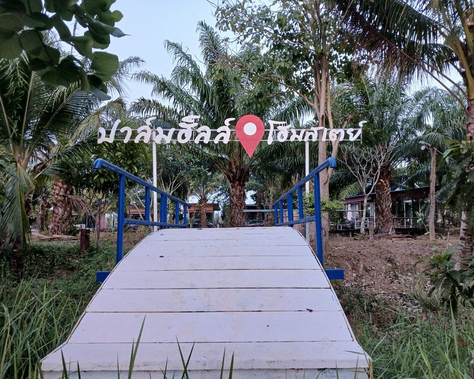 Palmhill homestay & cafe Hotel in Laos