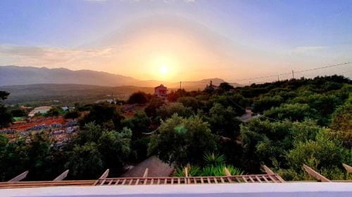 Alpha House Hotel in Crete