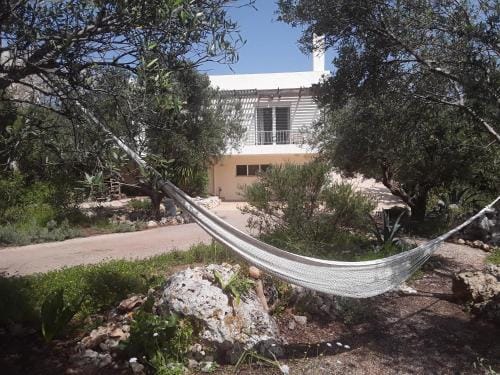 Alpha House Hotel in Crete