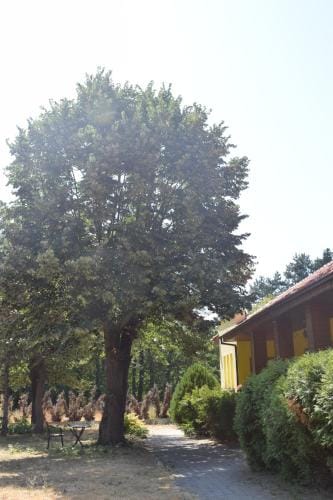 Villa Vera Rooms Hostel in North Macedonia